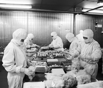 青島檢驗(yàn)檢疫局助禽類產(chǎn)品企業(yè)出口逆市增長(zhǎng)(附圖)