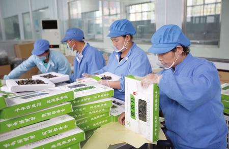 成縣特色農(nóng)產(chǎn)品助農(nóng)增收