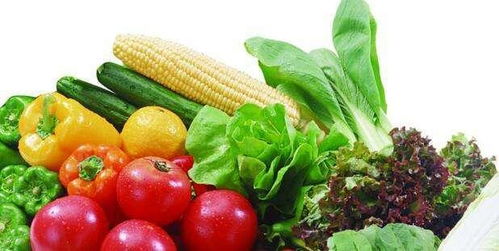 看濰坊是如何把好蔬菜質(zhì)量安全關(guān)口的