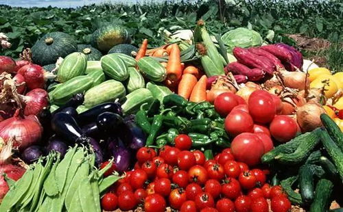 農(nóng)業(yè)農(nóng)村部 上半年我國農(nóng)產(chǎn)品市場供給總體充裕