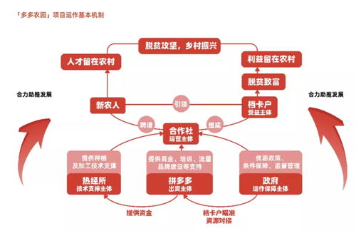 拼多多發(fā)布農(nóng)產(chǎn)品上行發(fā)展報(bào)告, 電商助農(nóng),大有可為