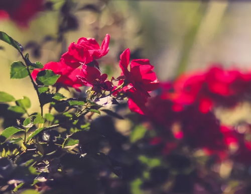 變心之人難免會(huì)體現(xiàn)在細(xì)節(jié)上,尤其出現(xiàn)第三條,基本坐實(shí)