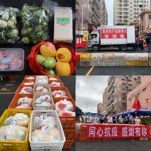 四步走 保證農(nóng)產(chǎn)品供得上 不斷檔 價(jià)格穩(wěn) 寶投集團(tuán)全力服務(wù)居民 慢生活