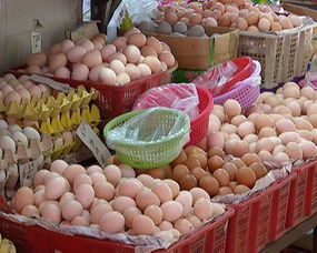 受多重因素影響 市區雞蛋豬肉價格普遍上漲