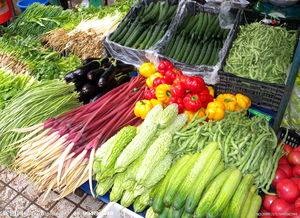 青島氣溫升高菜價持續回落，家禽供應平穩價格企穩